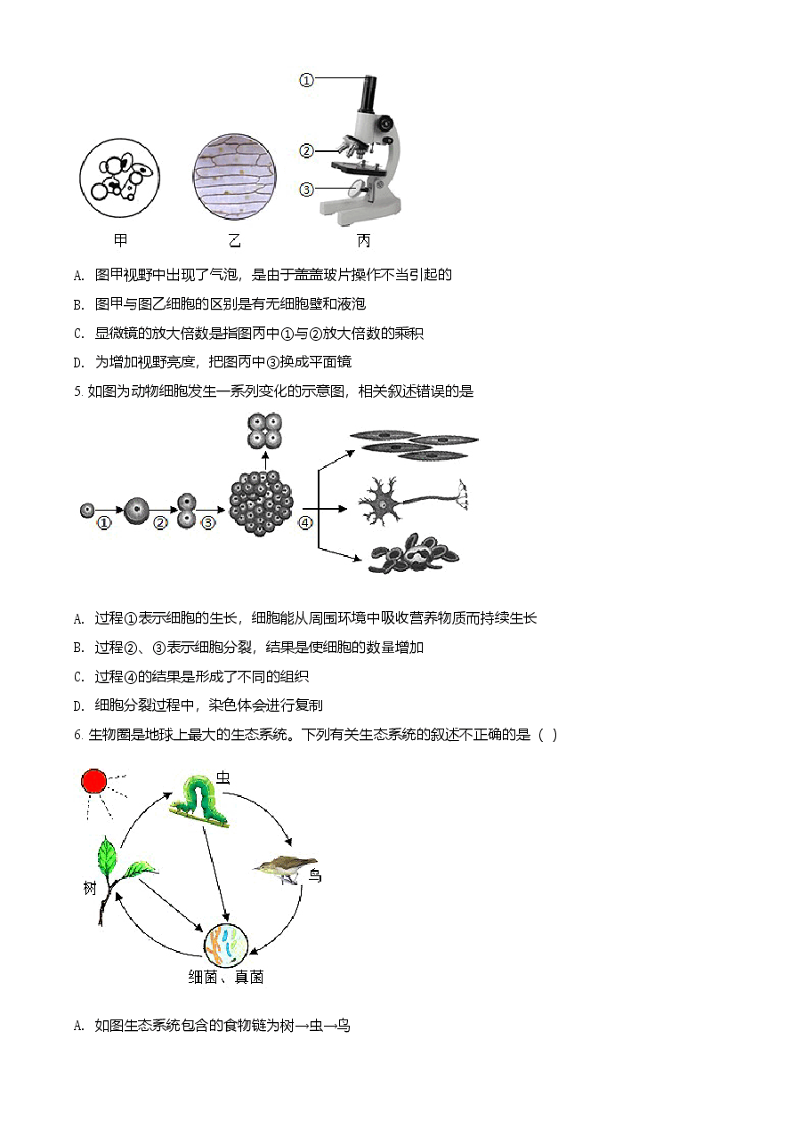 精品解析:湖南省衡阳市2021年中考生物试题(原卷版).doc,第2页预览
