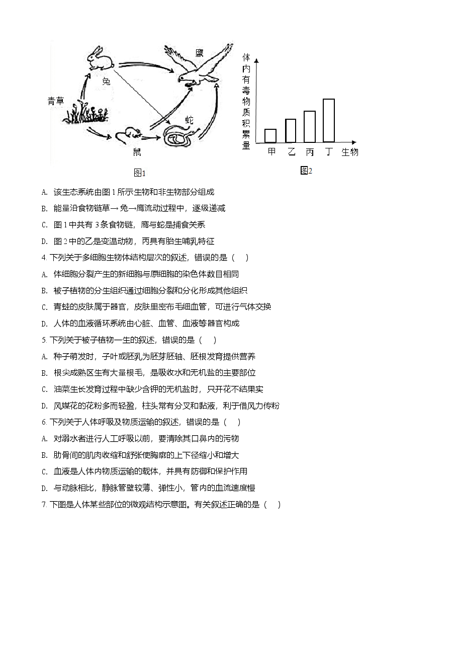 精品解析：山东省泰安市2021年中考生物试题（原卷版）.doc，第2页预览