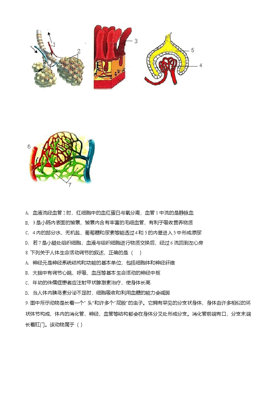 精品解析：山东省泰安市2021年中考生物试题（原卷版）.doc，第3页预览