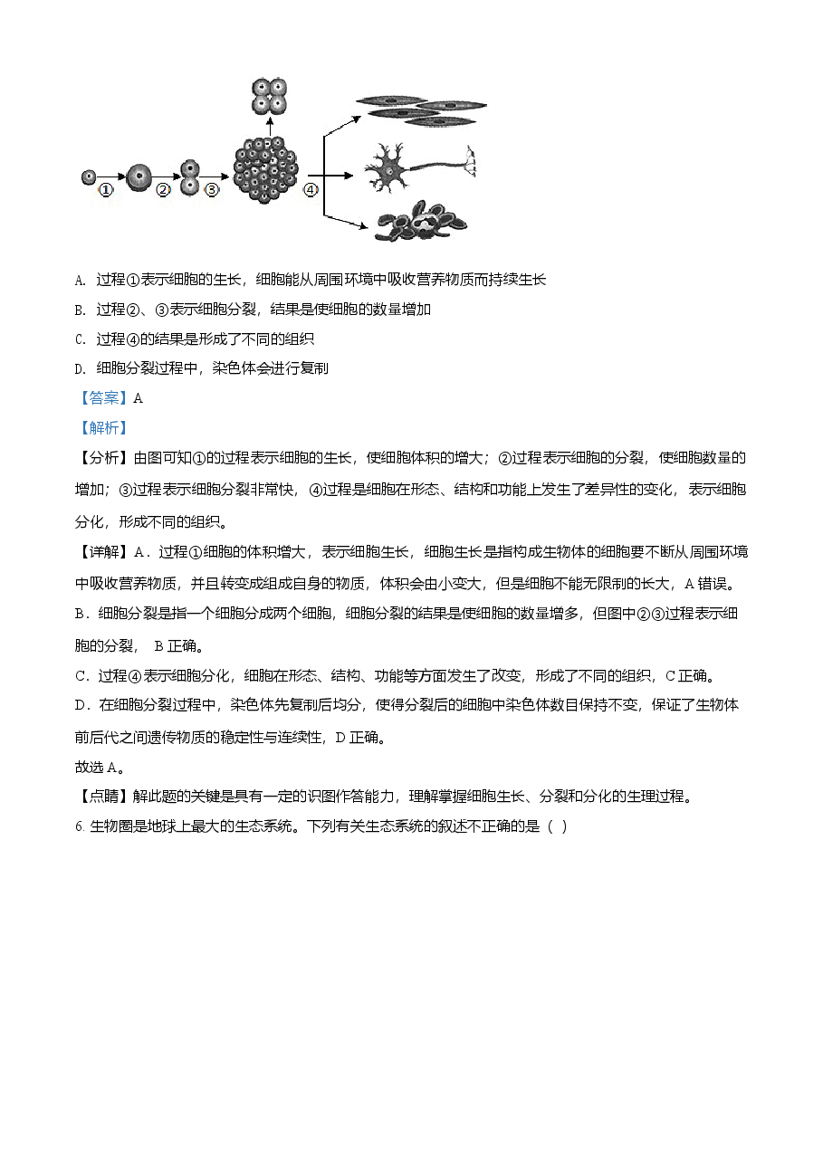 精品解析:湖南省衡阳市2021年中考生物试题(解析版).doc,第4页预览