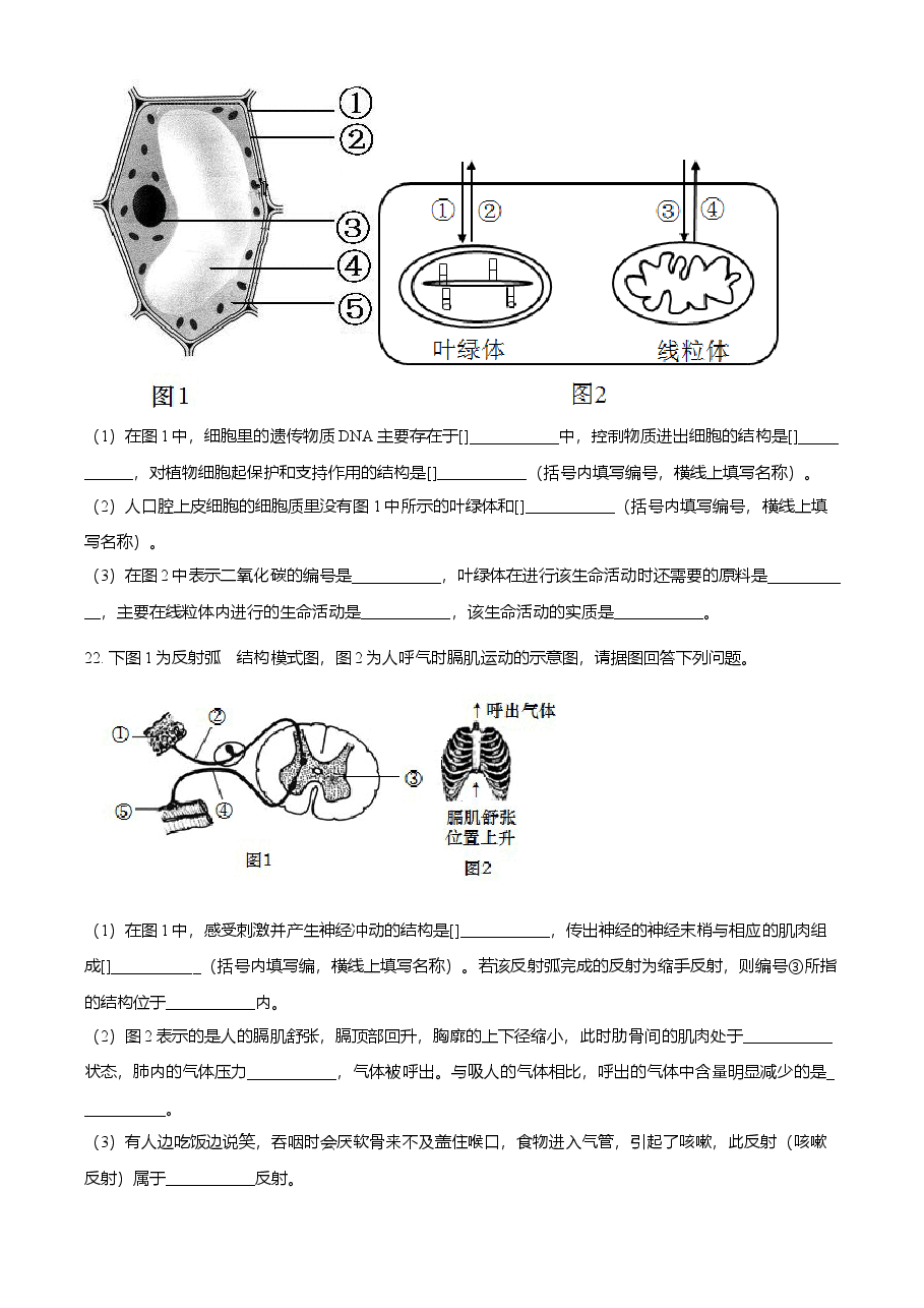 精品解析：湖北省黄石市2021年中考生物试题（原卷版）.doc，第4页预览