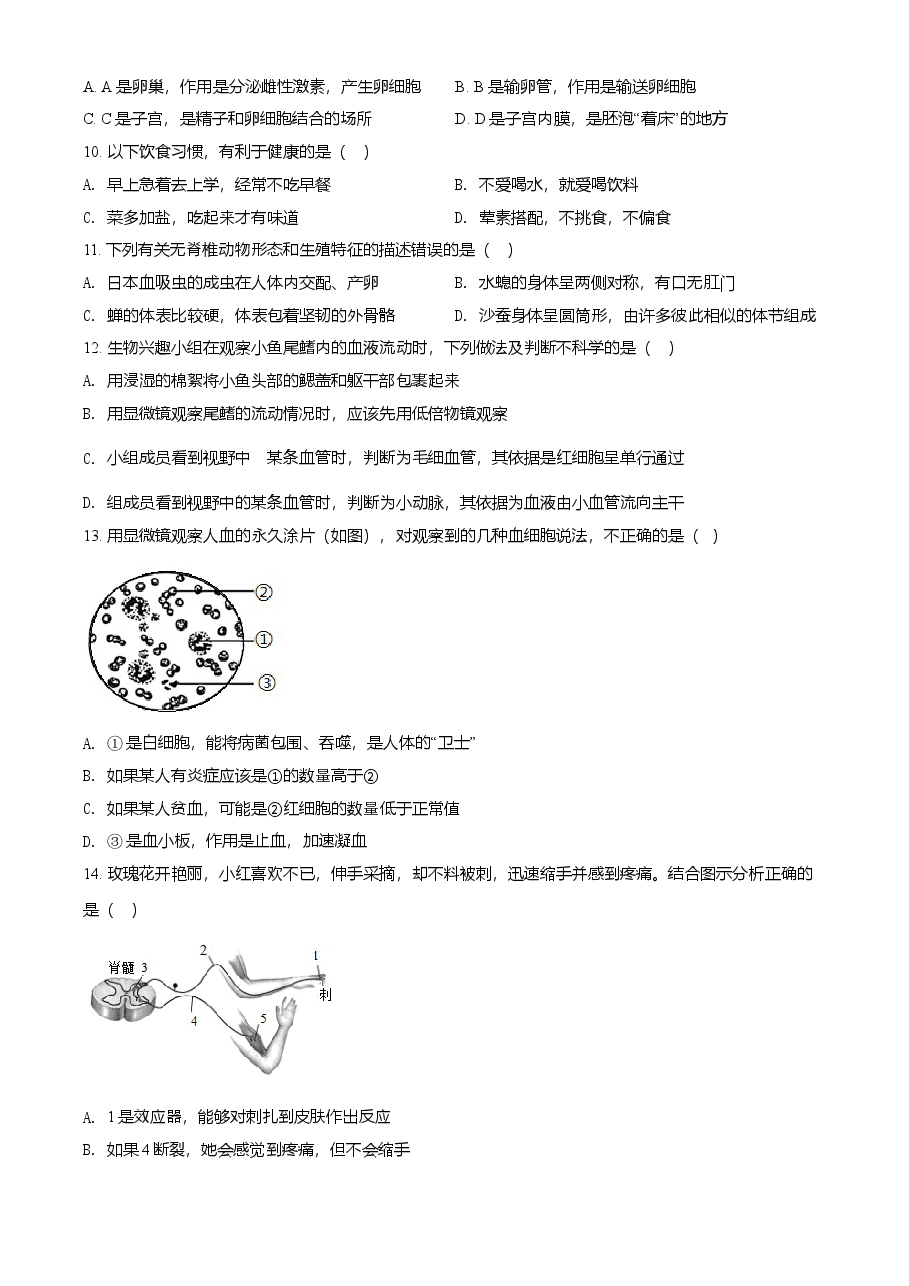 精品解析:湖南省娄底市2021年中考生物试题(原卷版).doc,第3页预览