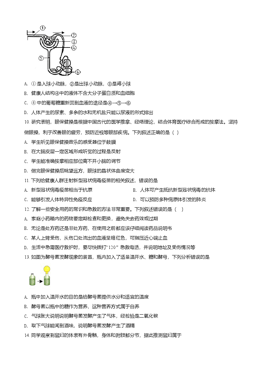 精品解析：山东省淄博市2021年中考生物试题（原卷版）.doc，第3页预览