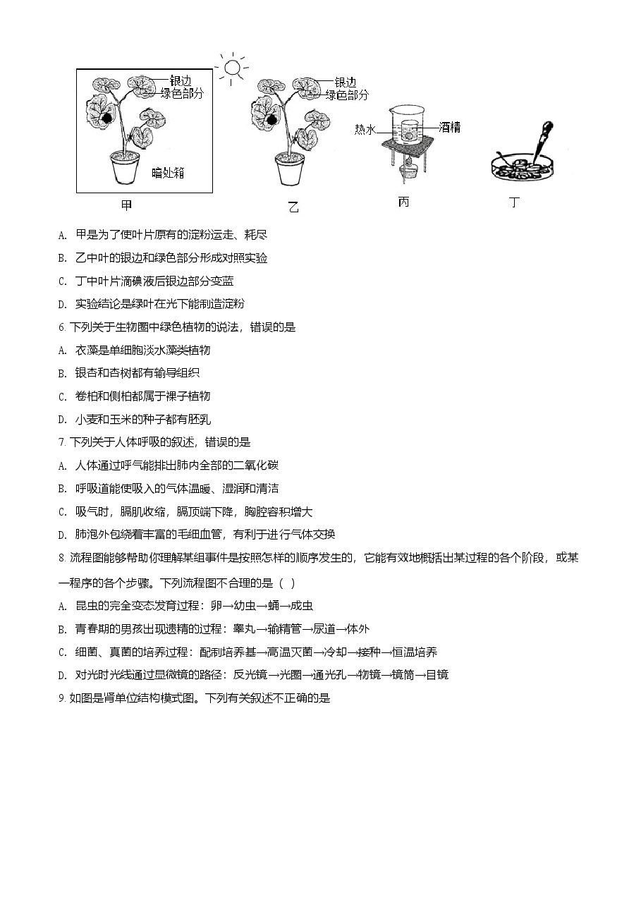 精品解析：山东省淄博市2021年中考生物试题（原卷版）.doc，第2页预览