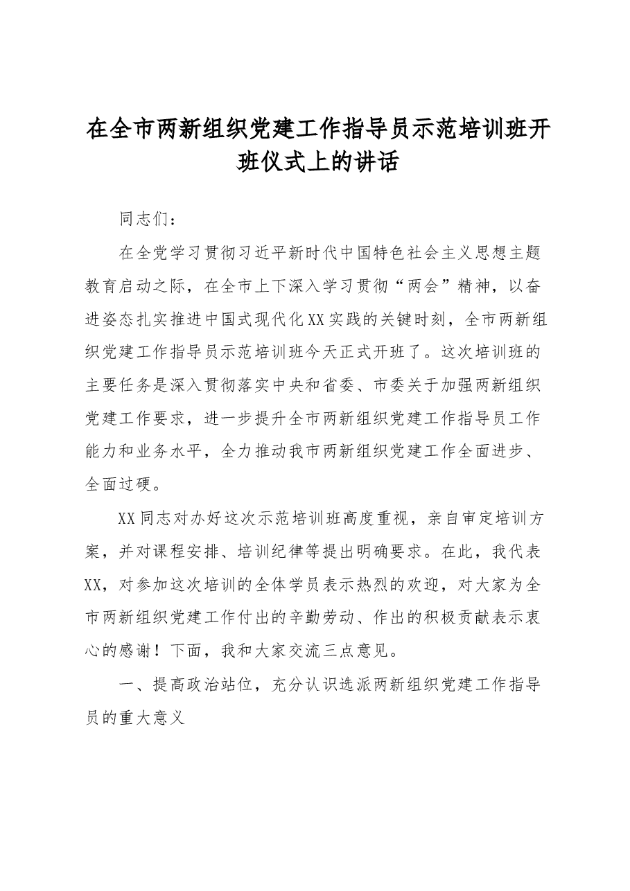 在全市两新组织党建工作指导员示范培训班开班仪式上的讲话.docx,第1页预览