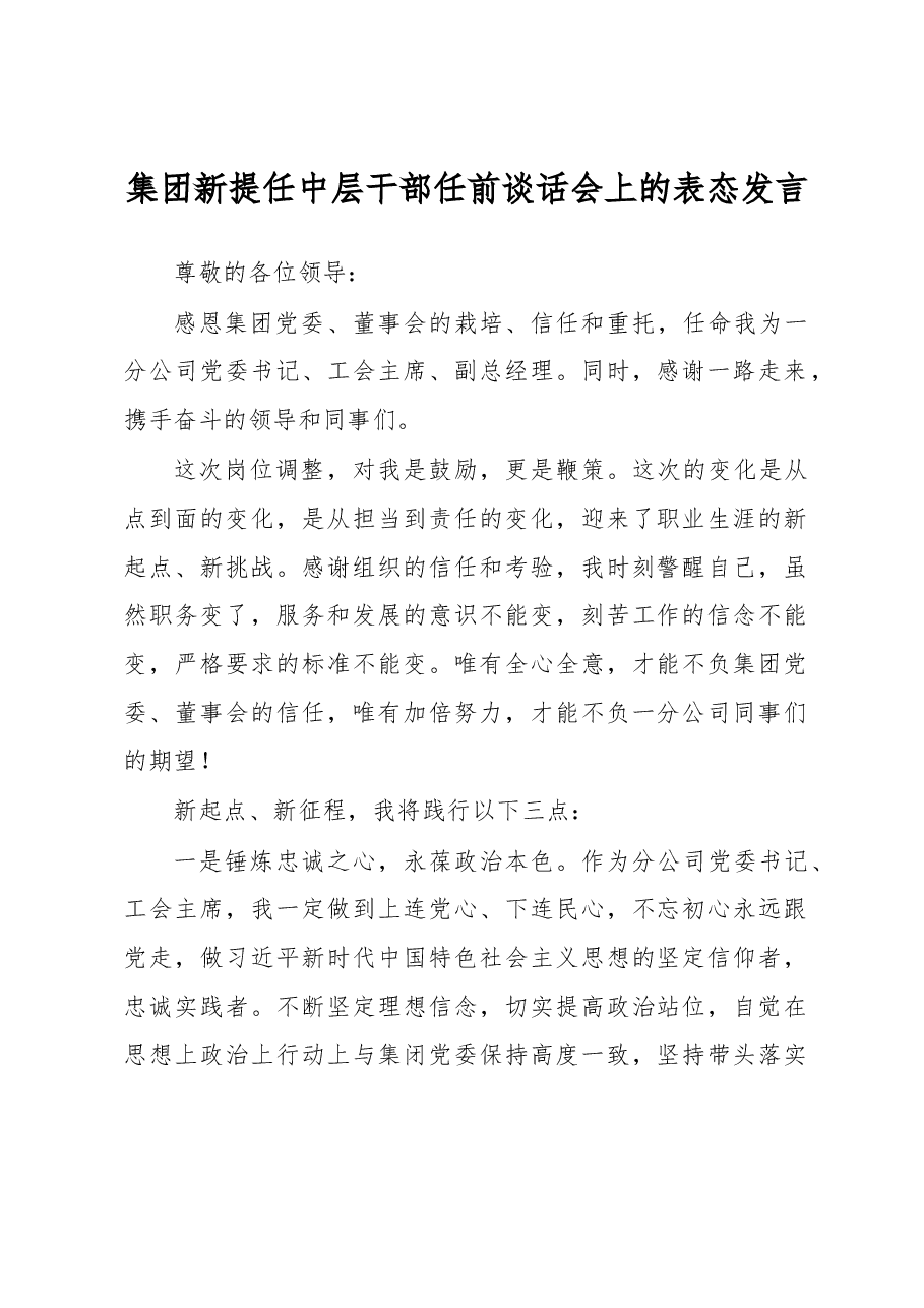 集团新提任中层干部任前谈话会上的表态发言.docx,第1页预览