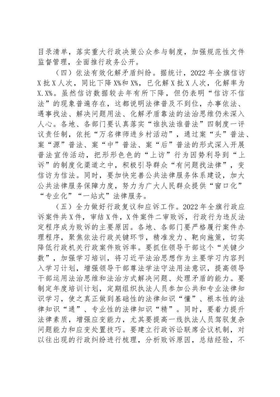 在法治政府建设工作推进会议上的讲话.docx,第3页预览