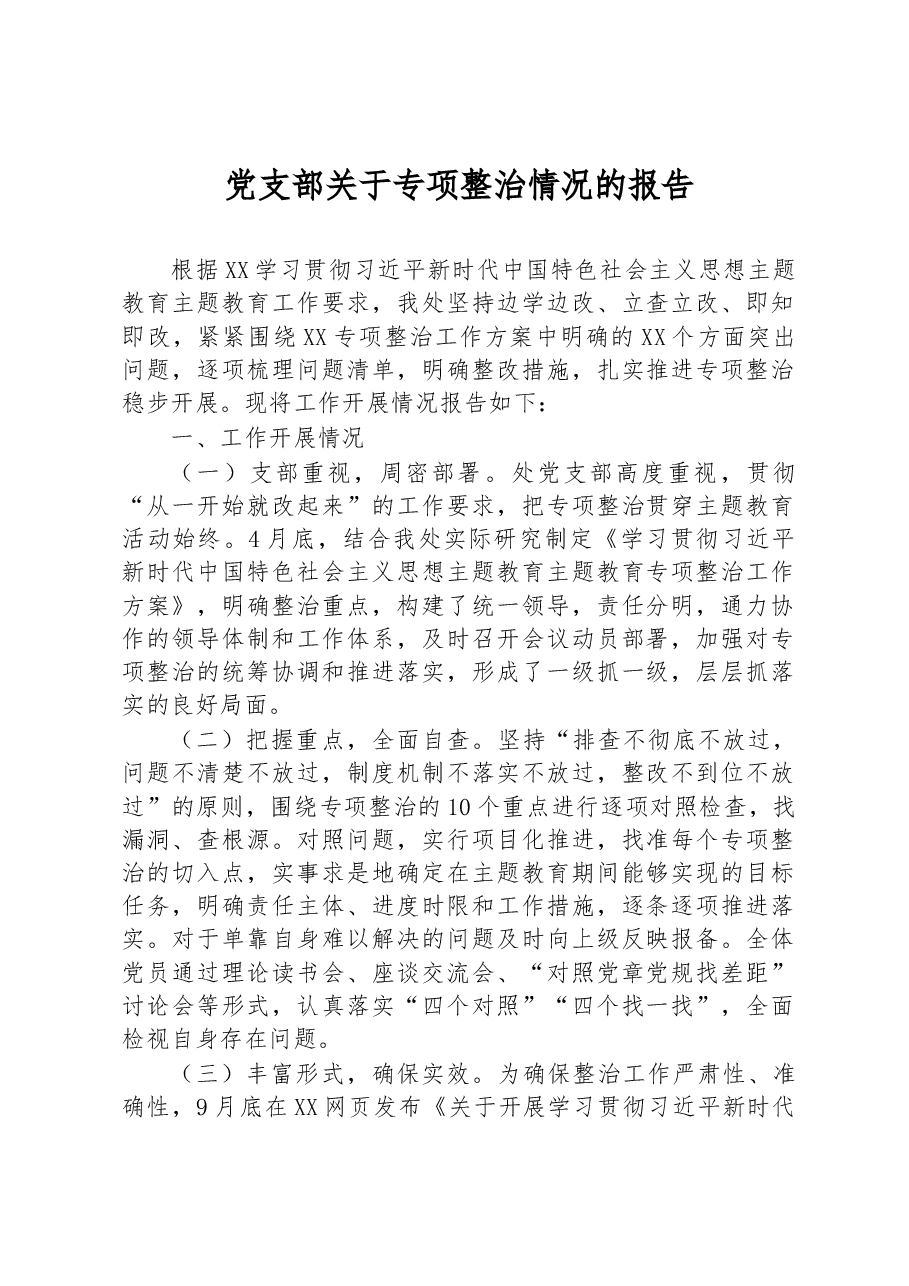 党支部关于专项整治情况的报告.docx,第1页预览
