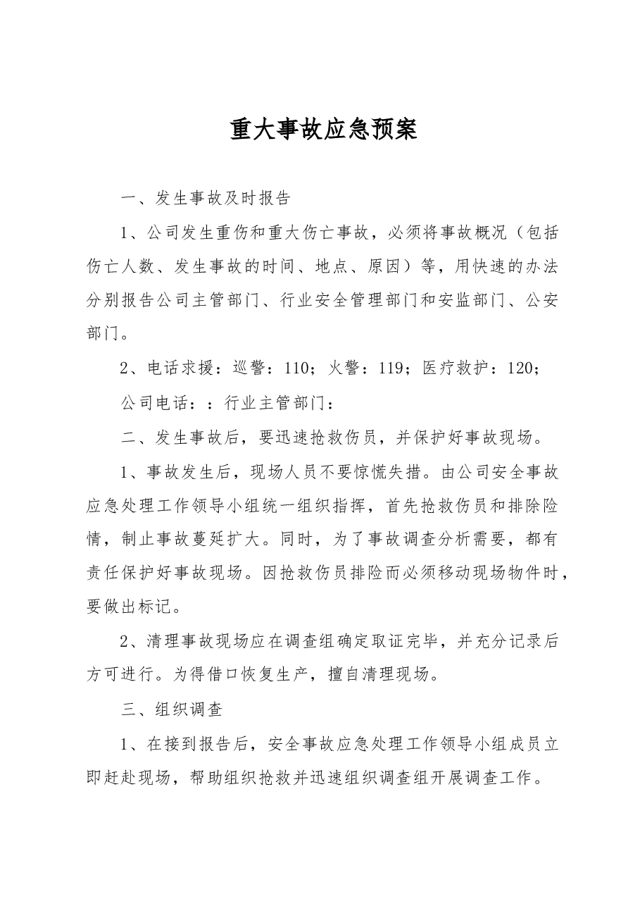 重大事故应急预案.doc,第1页预览