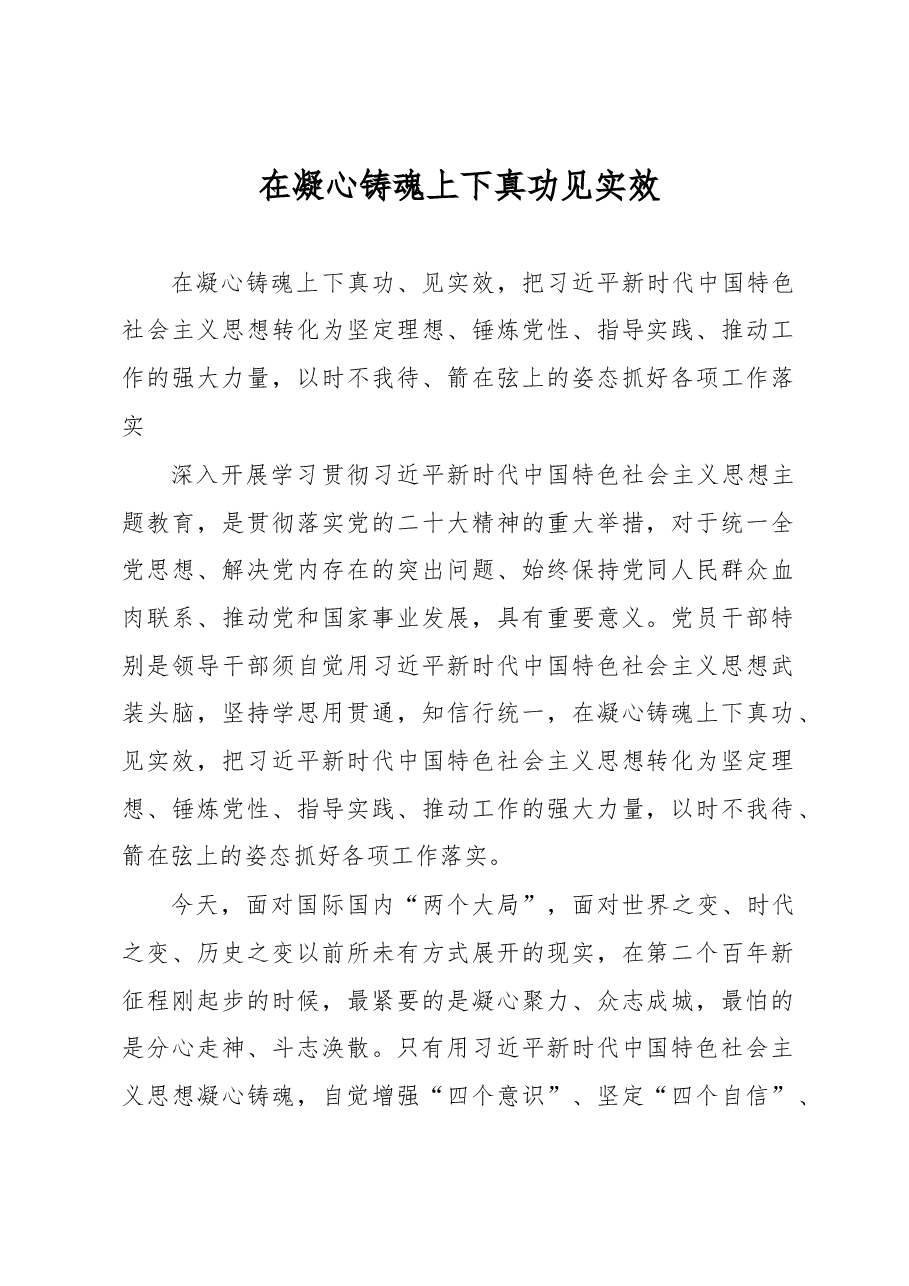 在凝心铸魂上下真功见实效（主题教育心得体会）.docx，第1页预览