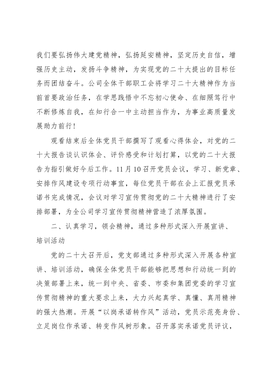 公司党支部学习宣传贯彻党的二十大精神情况报告.docx,第2页预览
