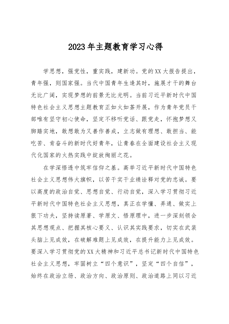 2023年主题教育学习心得.docx,第1页预览