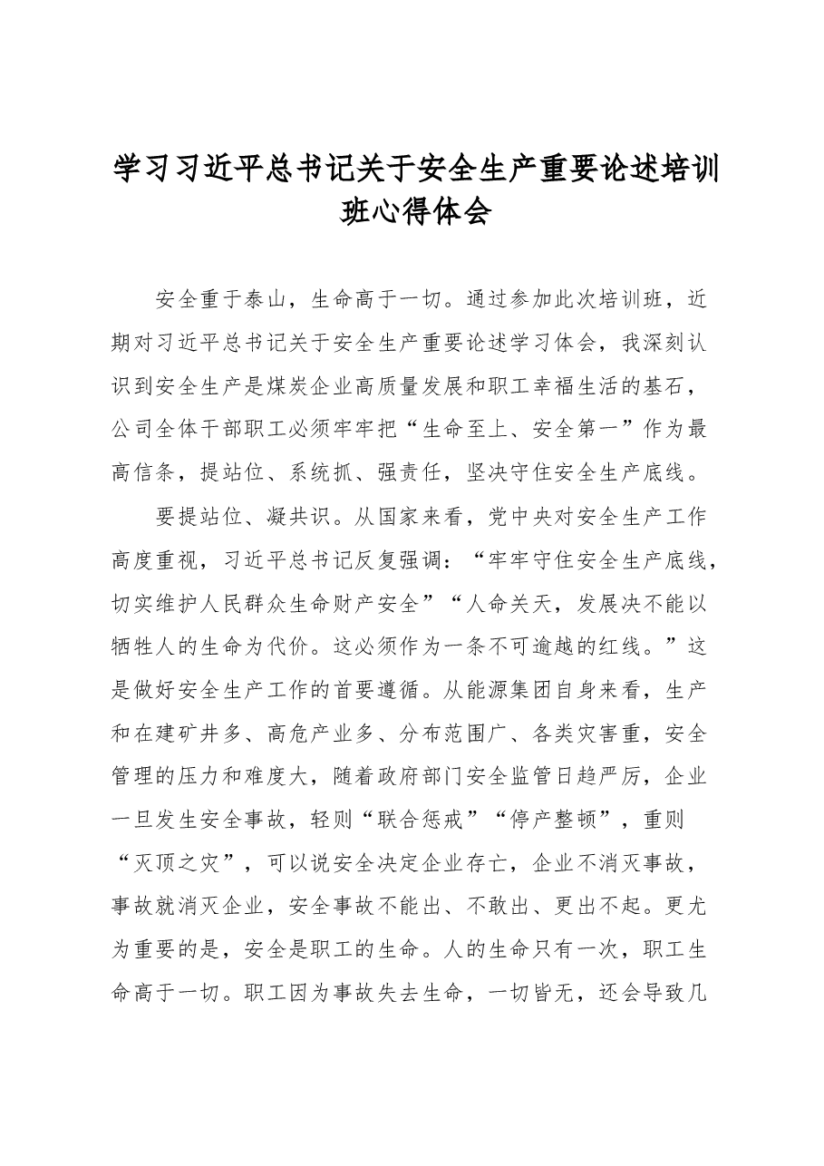 学习习近平总书记关于安全生产重要论述培训班心得体会.docx,第1页预览