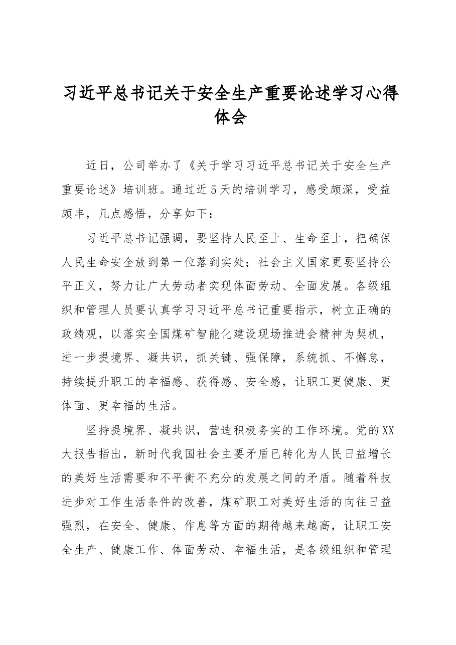 习近平总书记关于安全生产重要论述学习心得体会.docx,第1页预览