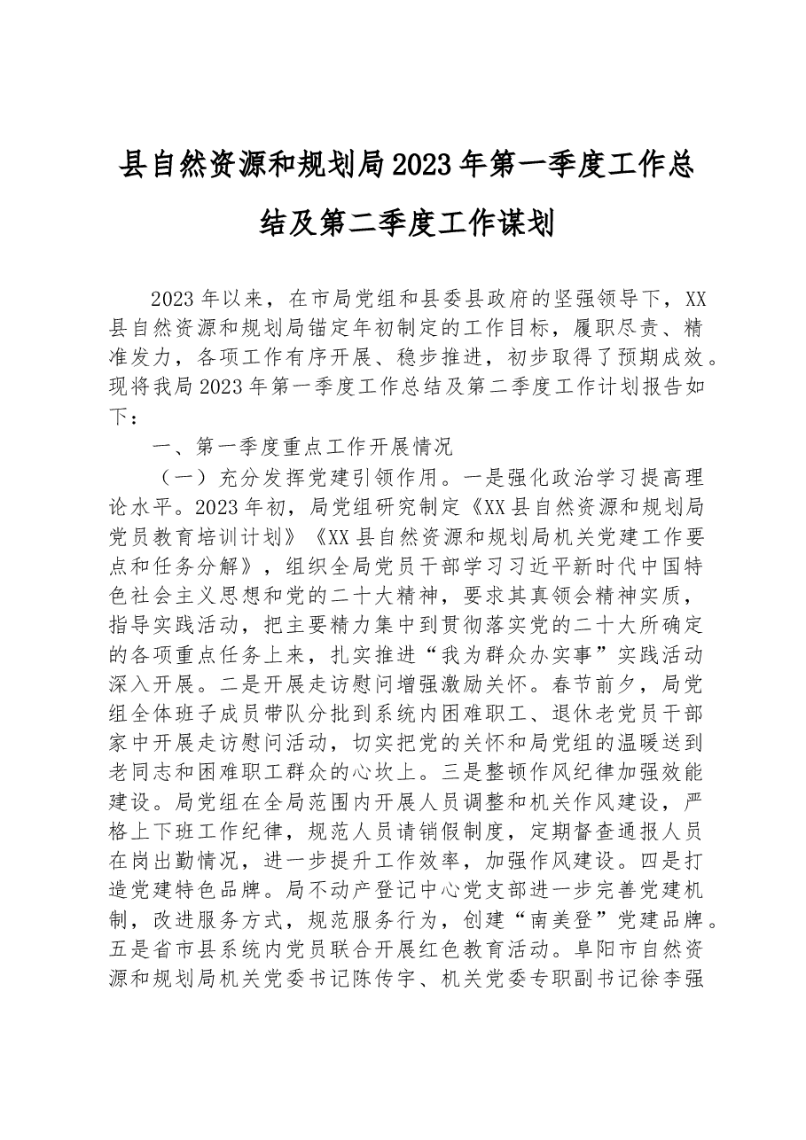 县自然资源和规划局2023年第一季度 工作总结及第二季度工作谋划.docx,第1页预览