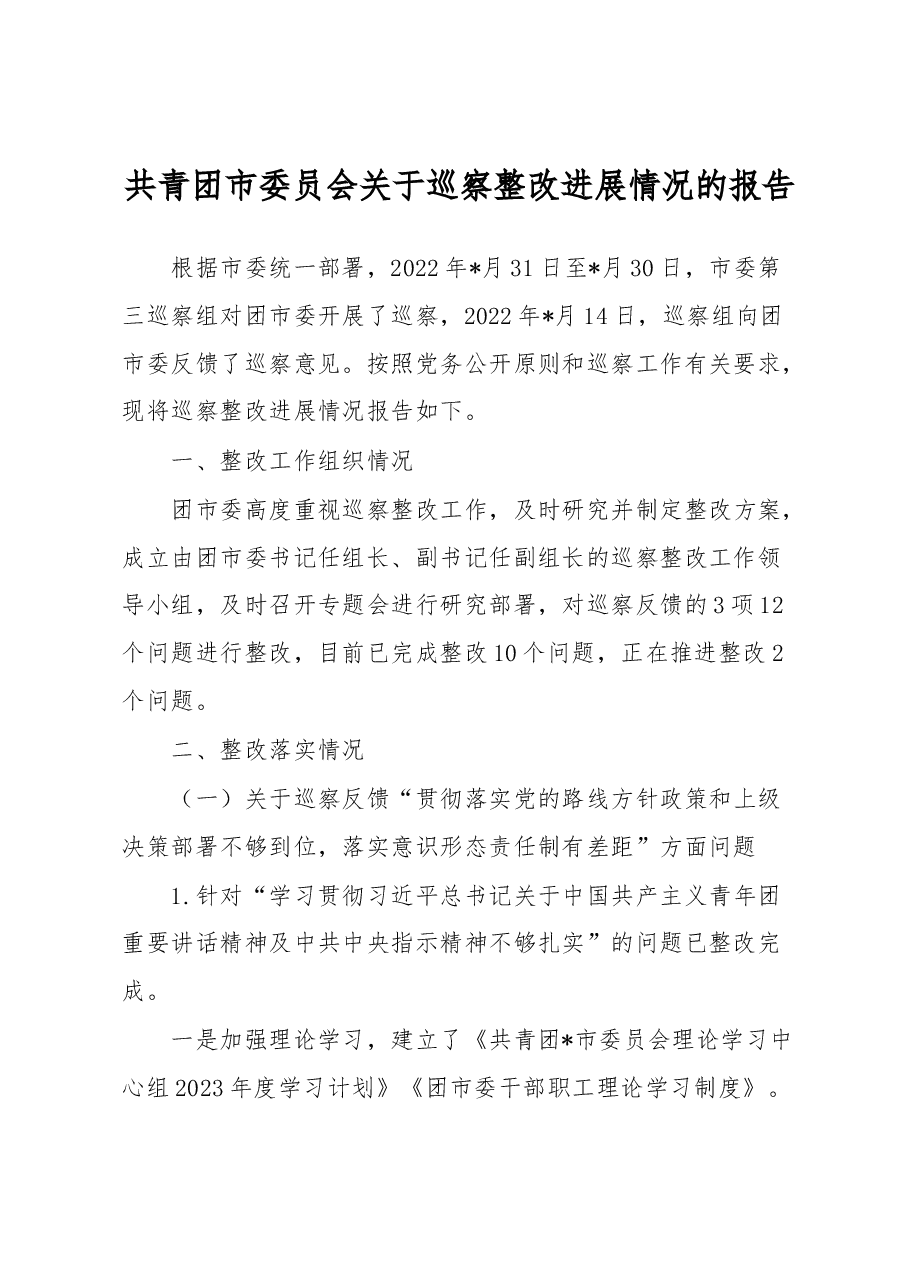 共青团市委员会关于巡察整改进展情况的报告.docx,第1页预览