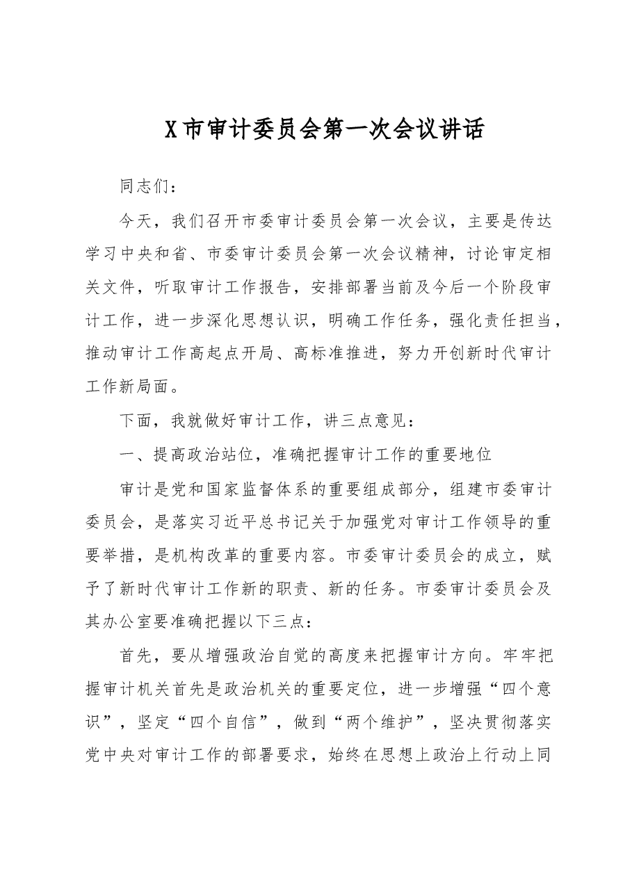 X市审计委员会第一次会议讲话.docx,第1页预览