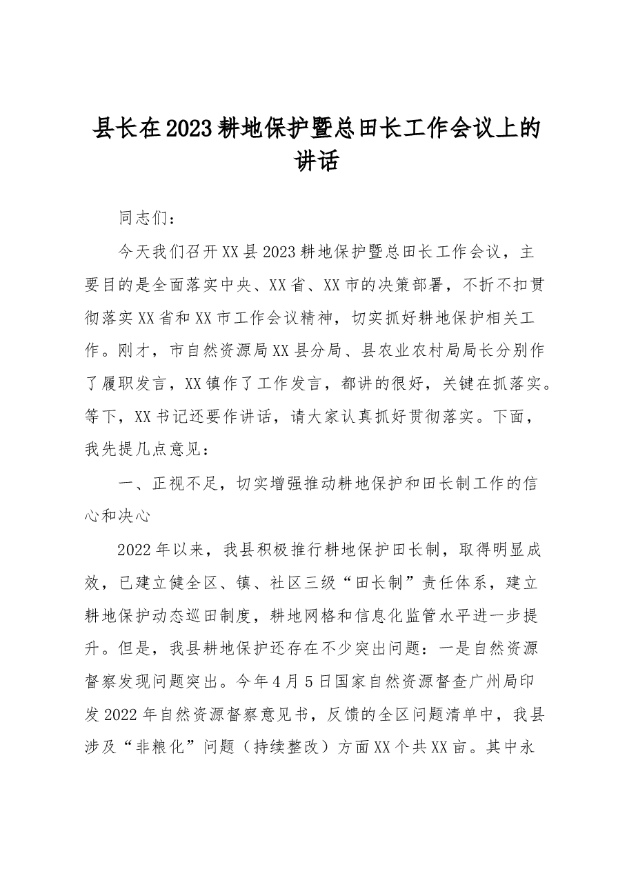 县长在2023耕地保护暨总田长工作会议上的讲话.docx,第1页预览