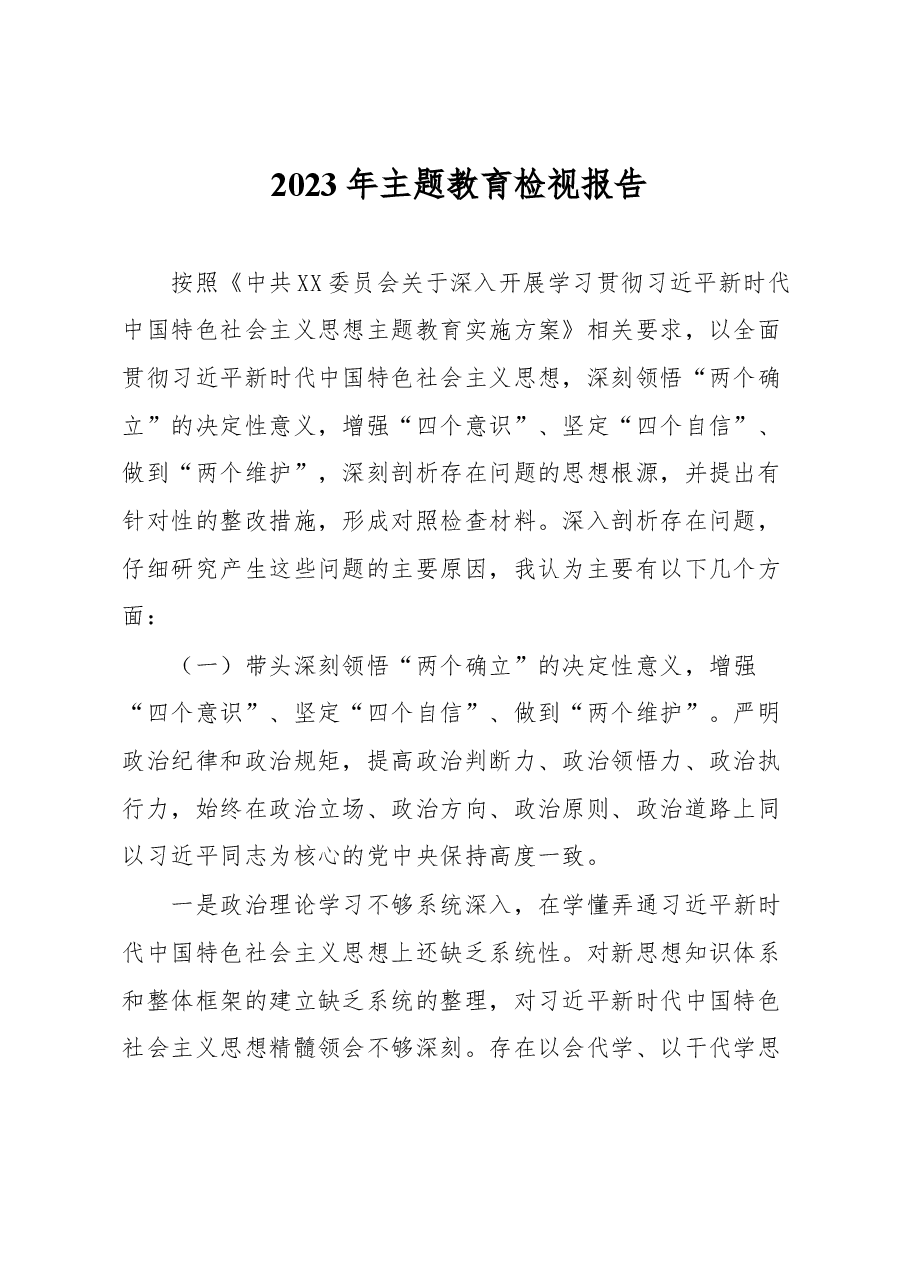 2023年主题教育检视报告.docx,第1页预览
