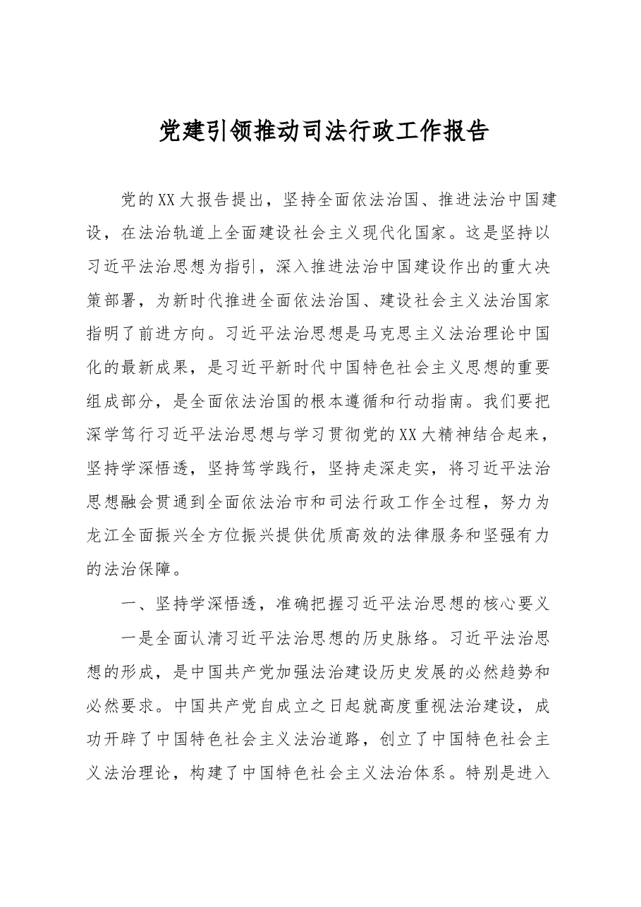 党建引领推动司法行政工作报告.docx,第1页预览