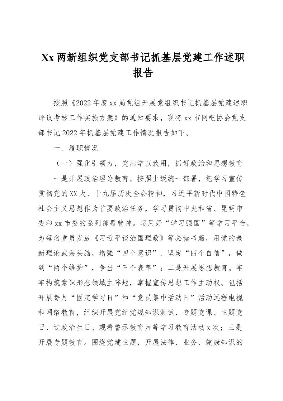Xx两新组织党支部书记抓基层党建工作述职报告.docx,第1页预览