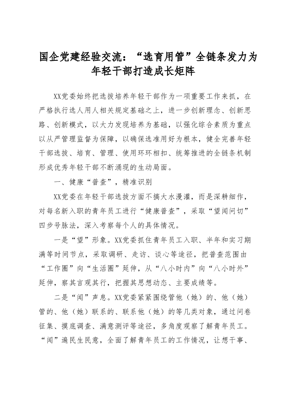 国企党建经验交流:“选育用管”全链条发力为年轻干部打造成长矩阵.docx,第1页预览
