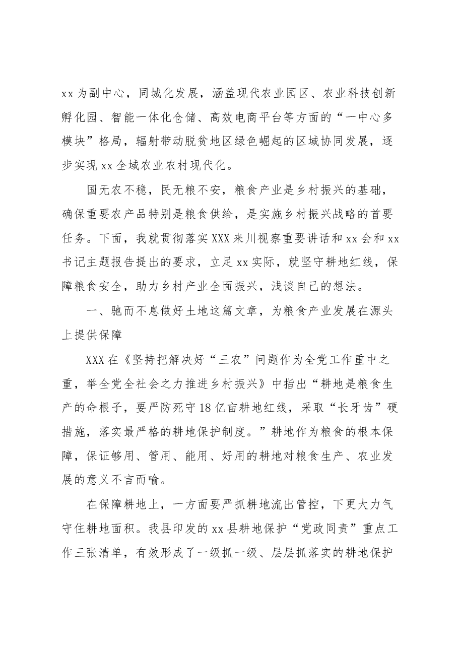 守“红线”保“粮安”推动乡村产业全面振兴研讨发言.docx,第2页预览