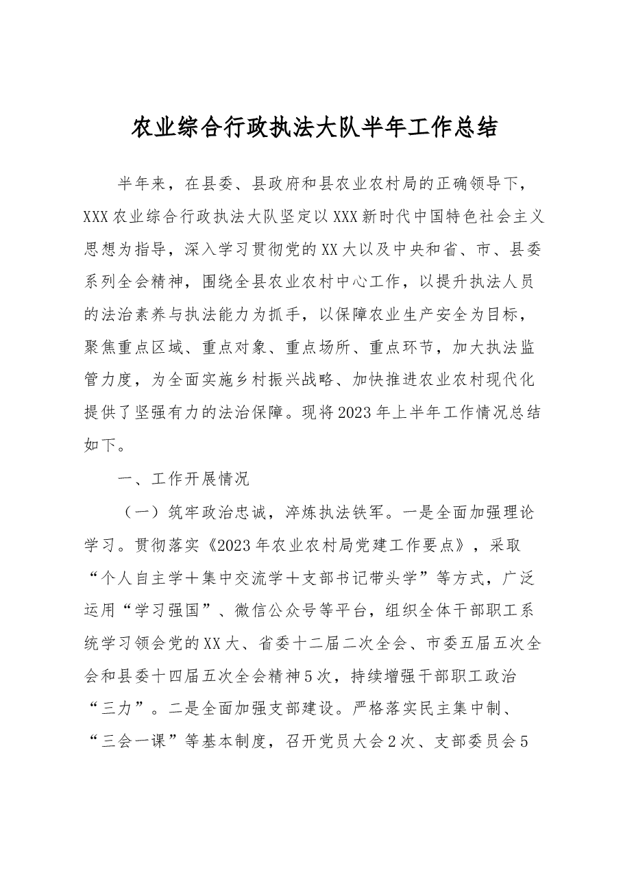 农业综合行政执法大队半年工作总结.docx,第1页预览