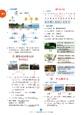 【小学语文绘本课堂】B2-2年级上-练习书.pdf,第4页预览