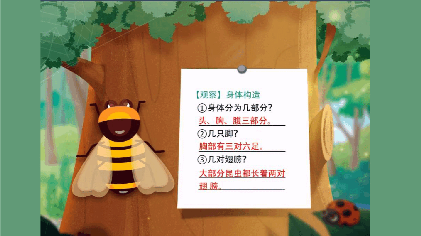 【小学知识拓展】世界风物博览:昆虫界的荷马.pdf,第4页预览