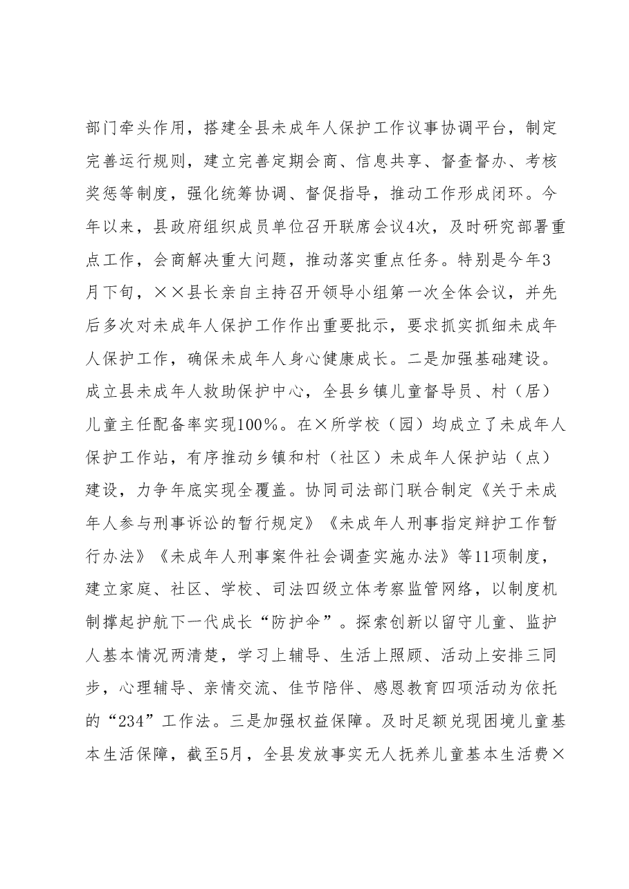 关于未成年人保护工作情况的报告.docx,第2页预览