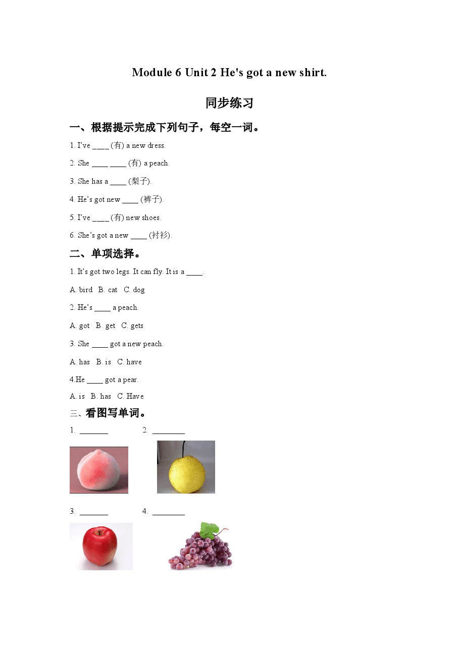 Module 6 Unit 2 He's got a new shirt.同步练习.doc,第1页预览