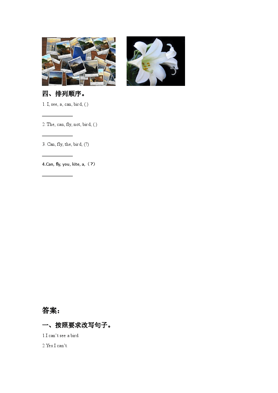 Module 4 Unit 2 What can you see.同步练习.doc,第2页预览