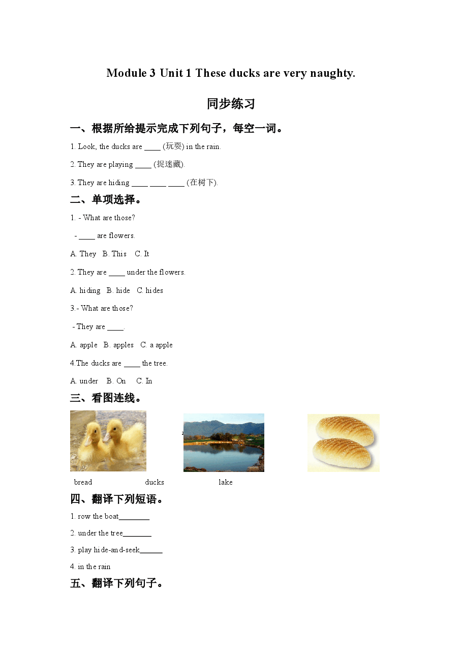 Module 3 Unit 1 These ducks are very naughty.同步练习.doc,第1页预览