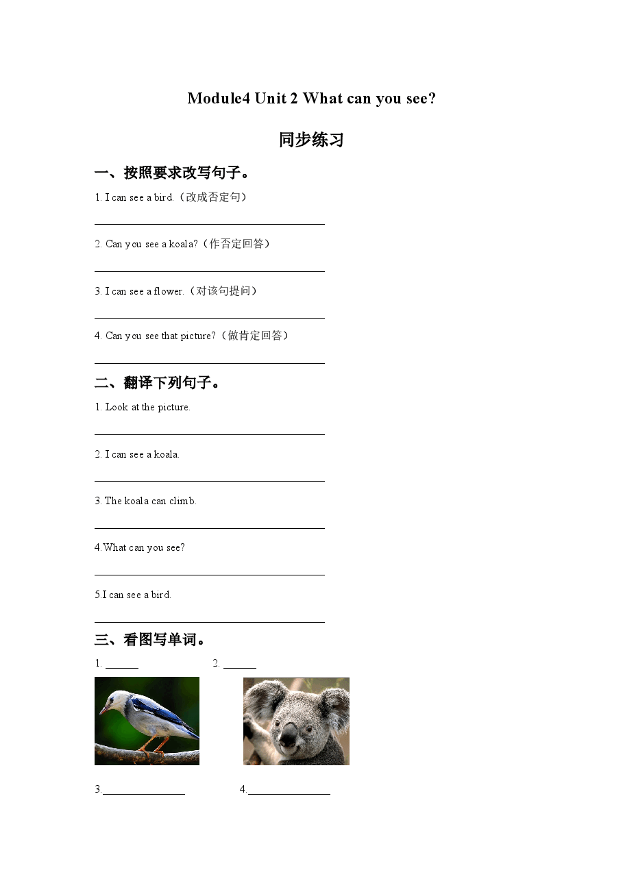 Module 4 Unit 2 What can you see.同步练习.doc,第1页预览