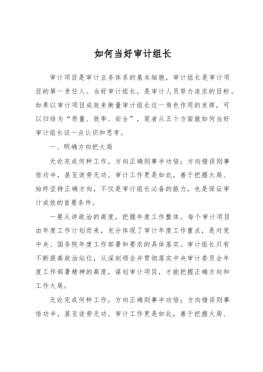 如何当好审计组长.docx,第1页预览