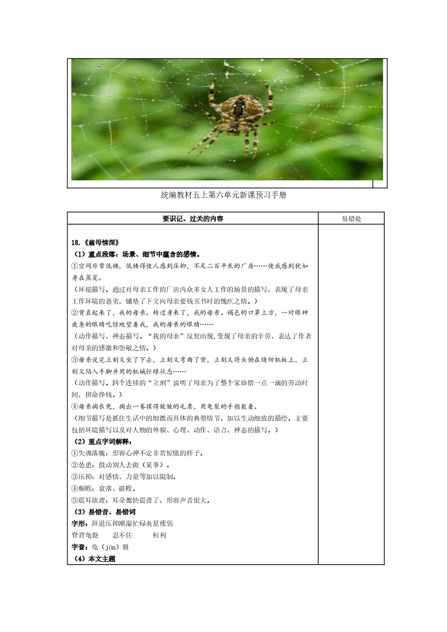 统编版语文五年级(上)5-8单元新课预习手册.docx,第4页预览