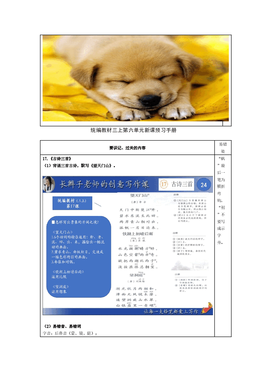 统编版语文三年级(上)5-8单元新课预习手册.docx,第4页预览