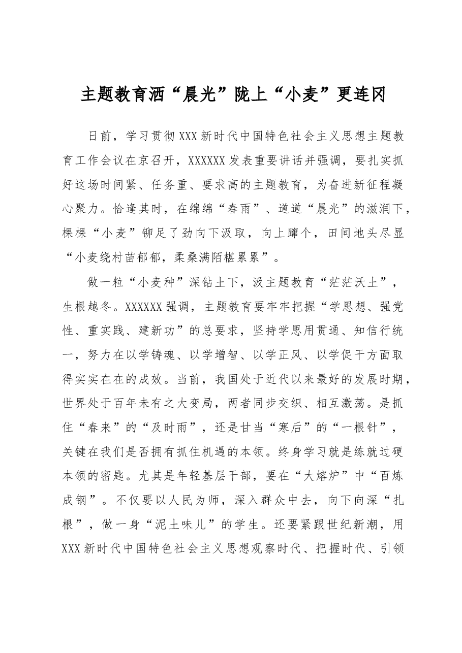 主题教育学习心得体会:主题教育洒“晨光” 陇上“小麦”更连冈.docx,第1页预览