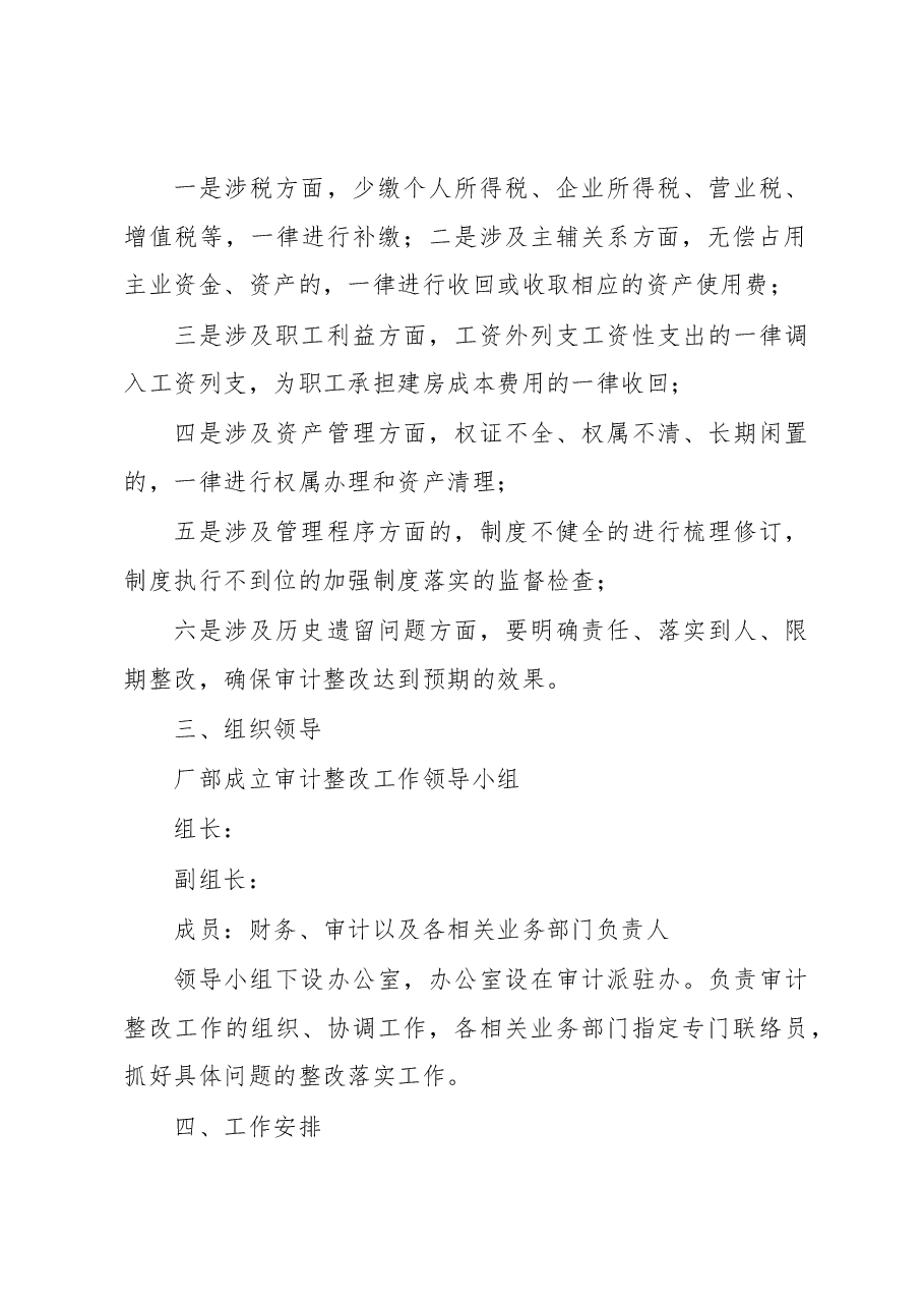 公司审计整改工作实施方案.docx,第2页预览