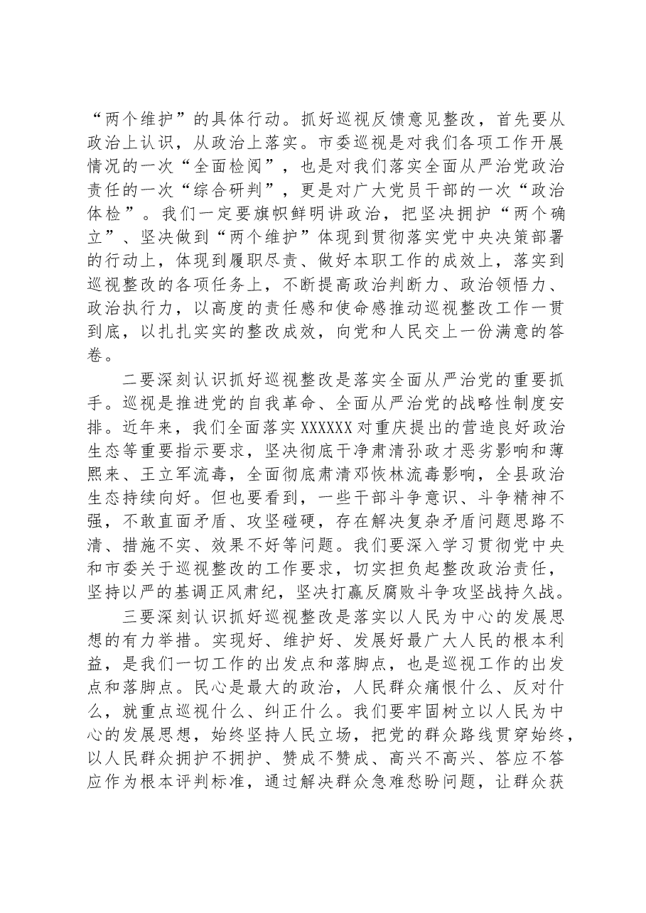 县委书记在巡视组反馈意见整改落实工作动员会上的讲话.docx,第3页预览