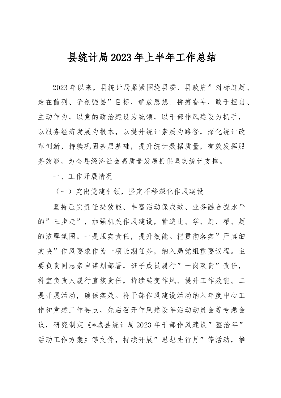 县统计局2023年上半年工作总结.docx,第1页预览