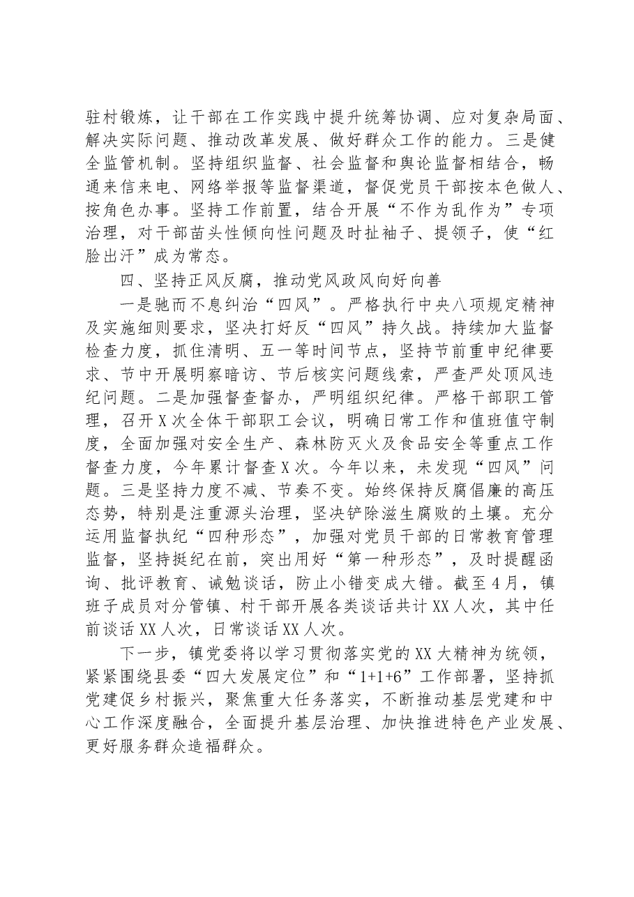 镇抓党建促乡村振兴工作情况报告.docx,第3页预览