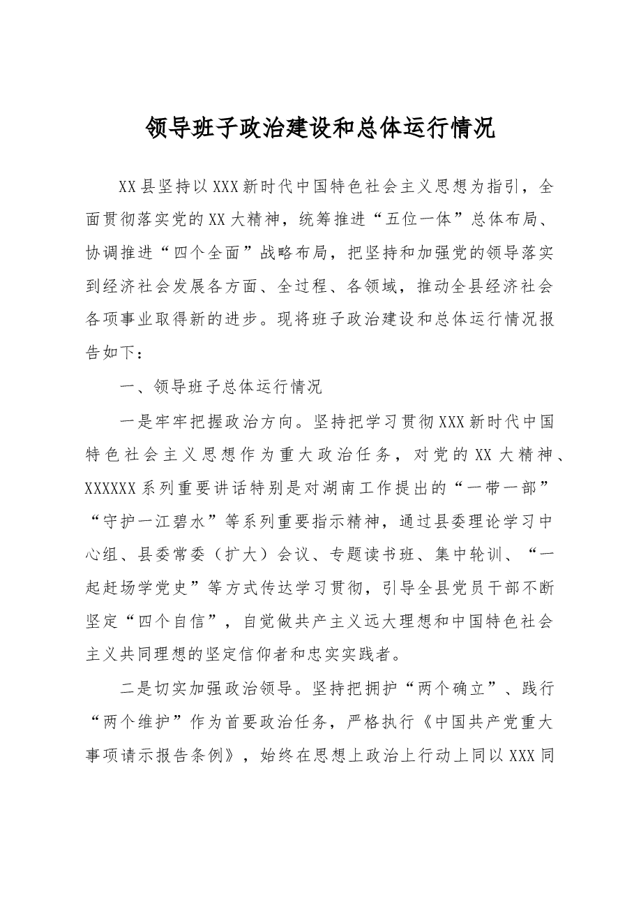 202306领导班子政治建设和总体运行情况报告.doc,第1页预览
