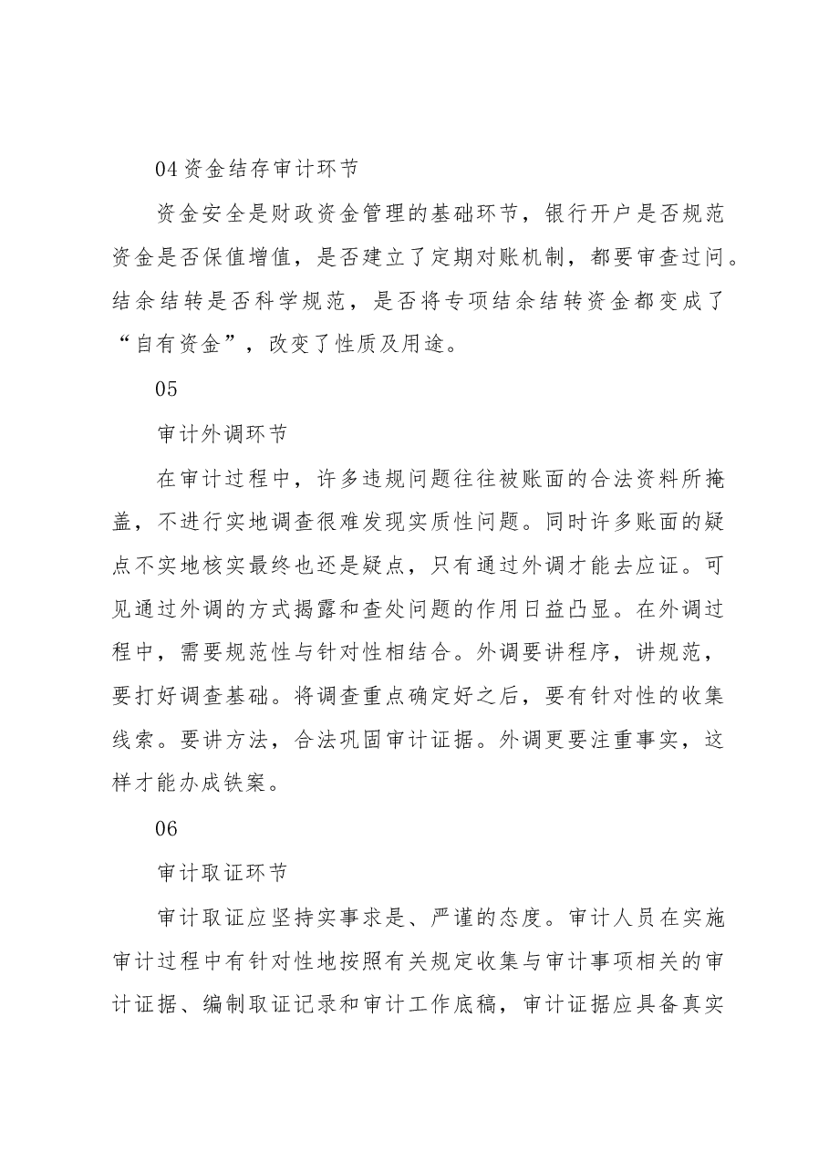 审计风控必须重视的十大要点!.docx,第3页预览