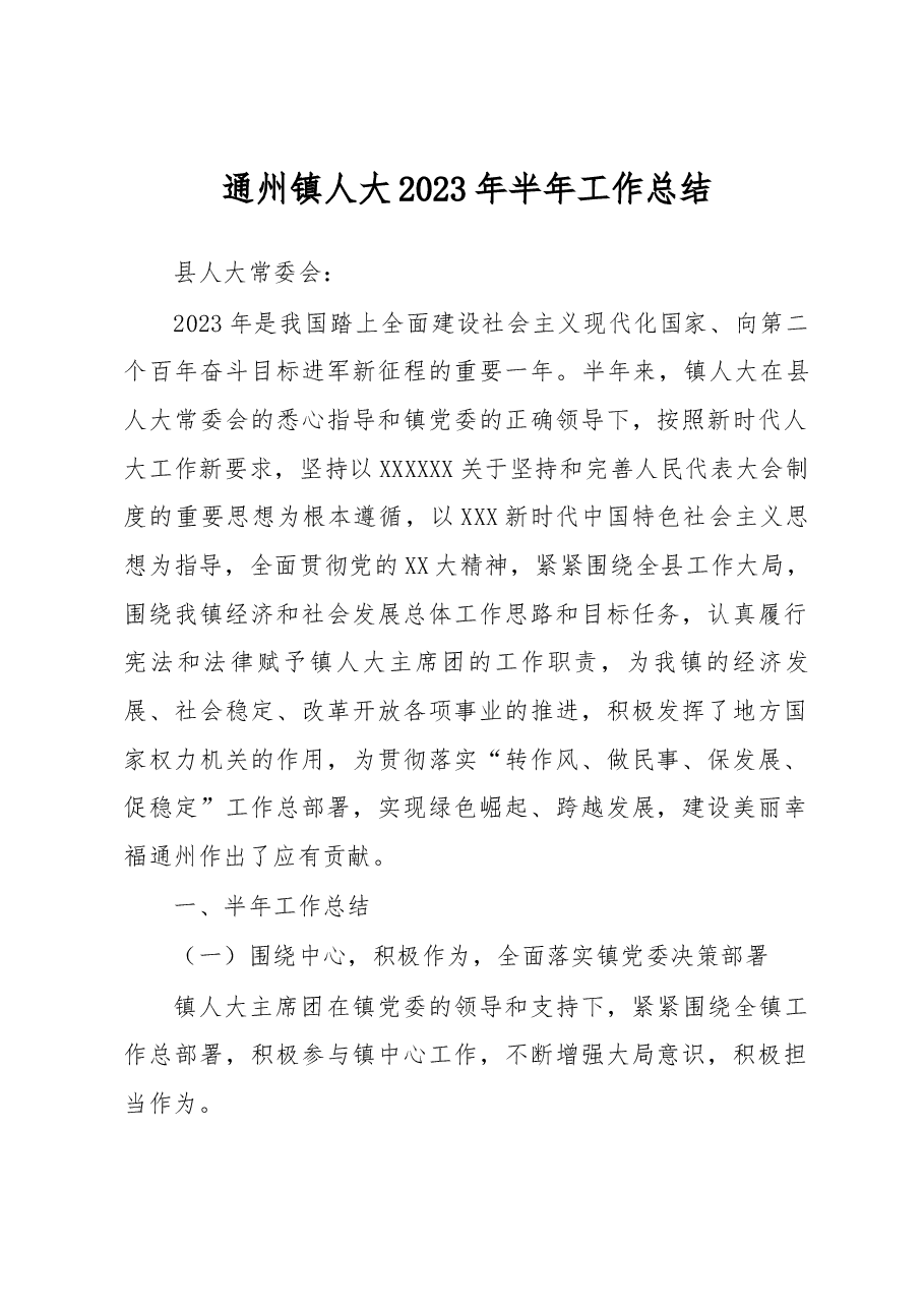 通州镇人大2023年上半年工作总结.docx,第1页预览