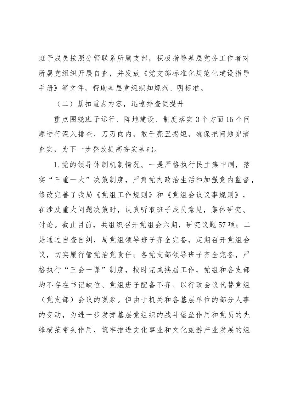 局党建基础工作大排查大规范自检自查报告.docx,第2页预览