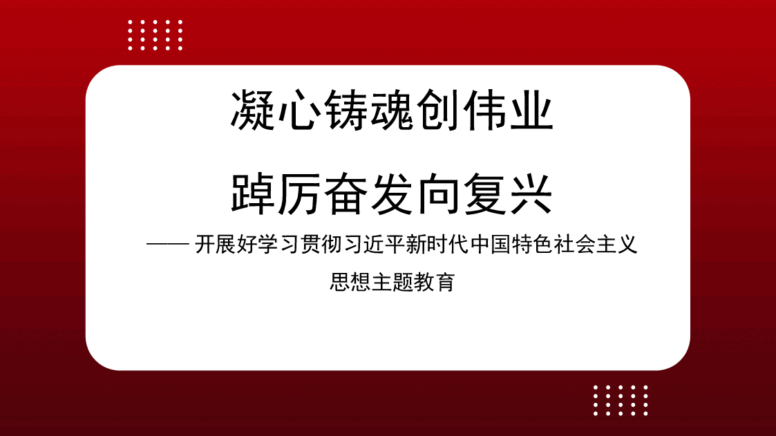党内主题教育主题模板(ppt) (3).pptx,第1页预览