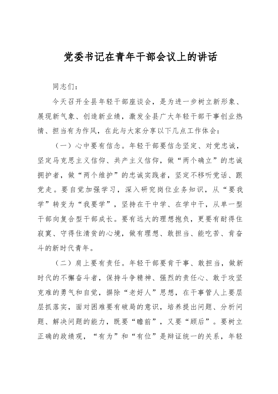 党委书记在青年干部会议上的讲话.docx,第1页预览