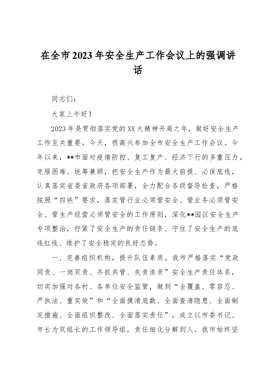 在全市2023年安全生产工作会议上的强调讲话.docx,第1页预览